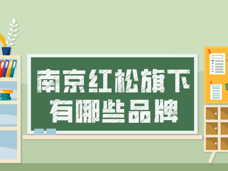 南京红松信息技术有限公司旗下有哪些品牌